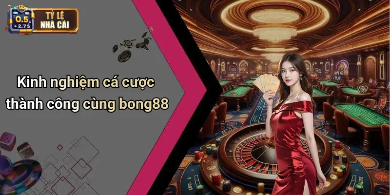 Kinh nghiệm cá cược thành công cùng bong88