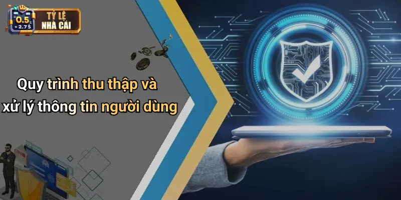 Quy trình thu thập và xử lý thông tin người dùng