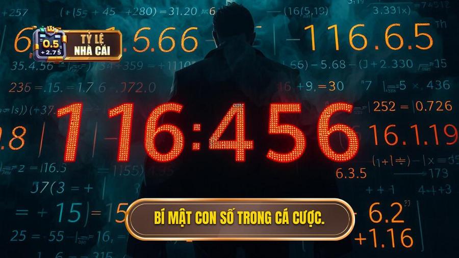 Bản chất của con số: Tại sao nhà cái cần "giấu" chiêu trò?