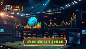 Kèo Live Bóng Đá Hôm Nay: Phân Tích Chuyên Sâu Và Chiến Thuật Chinh Phục Tỷ Lệ Trực Tuyến